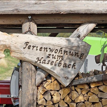 Zum Haselbach Διαμέρισμα Weilheim Εξωτερικό φωτογραφία