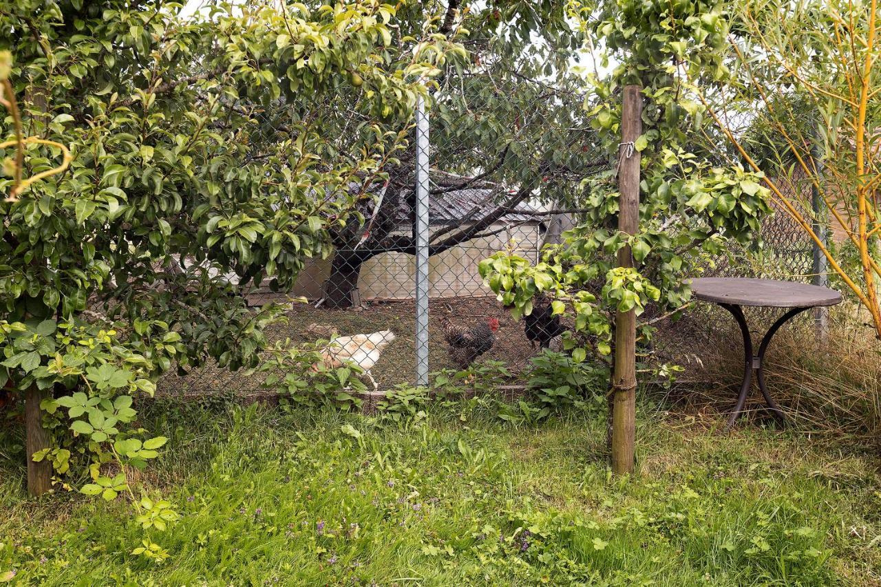 Zum Haselbach Διαμέρισμα Weilheim Εξωτερικό φωτογραφία